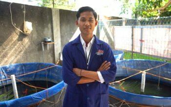 Mengungkap Kisah Sukses Mahasiswa UMM yang Menjadi Pelopor Bisnis Budidaya Udang di Bojonegoro
