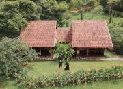 Harga Tiket Kebun Mawar Garut, Panduan Lengkap