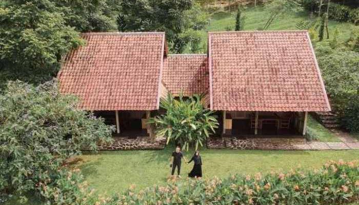 Harga Tiket Kebun Mawar Garut, Panduan Lengkap