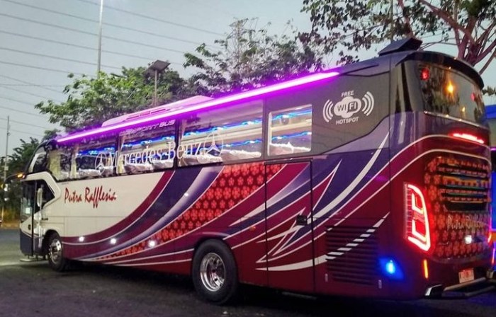 Harga tiket bus rapi jambi pekanbaru
