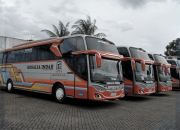 Harga Tiket Bus Rosalia Indah Jogja Palembang, Panduan Lengkap