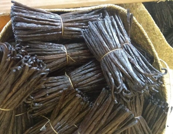 Cara menjual vanili kering