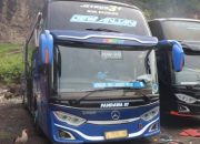Cek Harga Tiket Bus Ponorogo Banyuwangi Terbaru dan Tips Dapatkan Tiket Murah