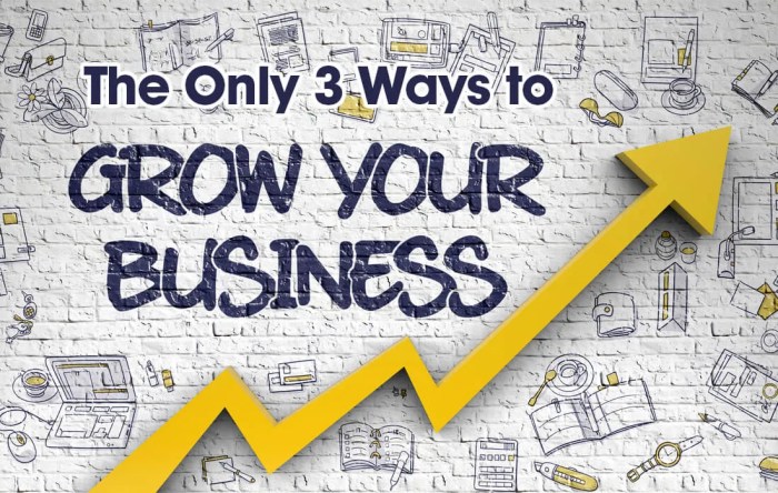 Business grow small cfo consulting portal relations proven speaking coaching bank results services contact