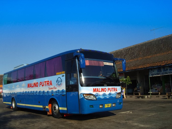 Harga tiket bus malino putra 2019