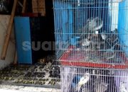 Cek Harga Tiket Bus Depok Solo Terbaru, Murah dan Nyaman!