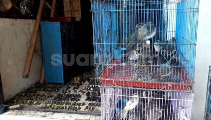 Cek Harga Tiket Bus Depok Solo Terbaru, Murah dan Nyaman!