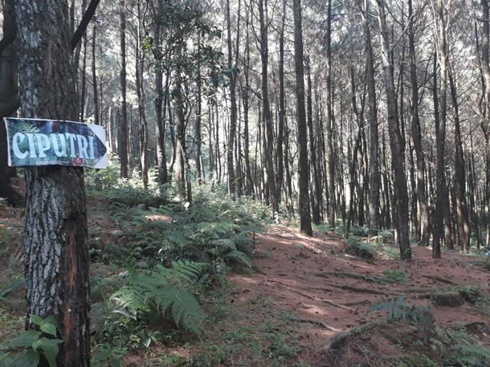 Harga tiket curug ciputri
