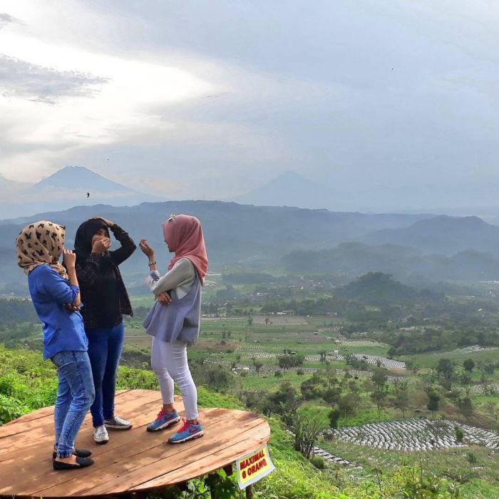Alam sumowono menikmati pesona wisata kebun berbatu kondisi