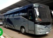 Harga Tiket Bus PT Rapi, Panduan Lengkap