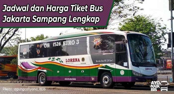 Buses