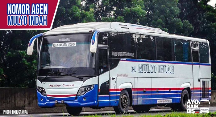 Harga tiket bus mulyo indah
