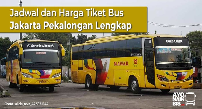 Harga tiket bus pekalongan surabaya