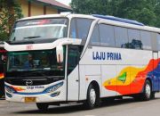 Harga Tiket Bus Laju Prima Jambi – Bandung, Panduan Lengkap
