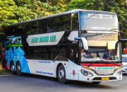 Harga Tiket Safari Dharma Raya, Panduan Lengkap
