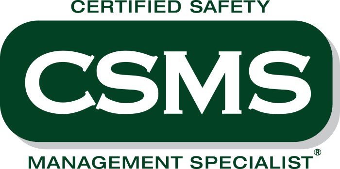 Csms management safety specialist certified logo designation