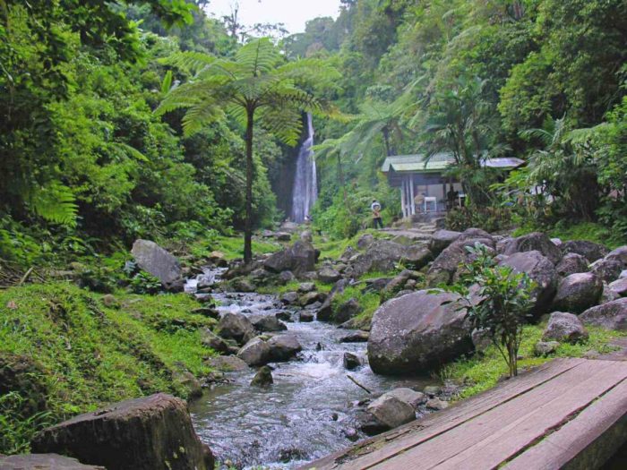 Kebun raya cibodas masuk tiket kaca
