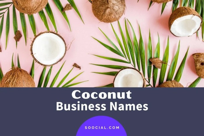 Coconut pdf4pro