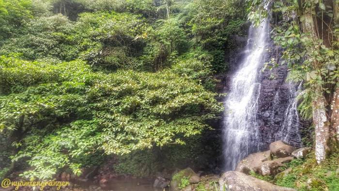 Harga tiket masuk curug cipurut purwakarta
