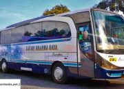 Harga Tiket Bus Safari Dharma Raya, Panduan Lengkap
