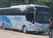 Harga Tiket Bus Rapi Jambi-Pekanbaru, Panduan Lengkap
