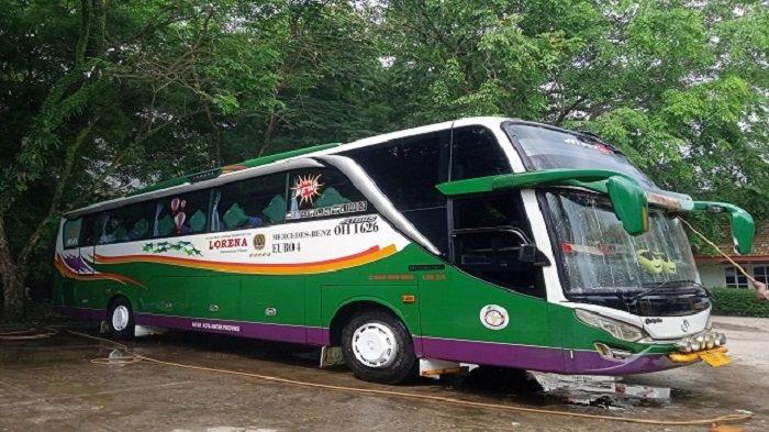 Bogor lorena jadwal bus