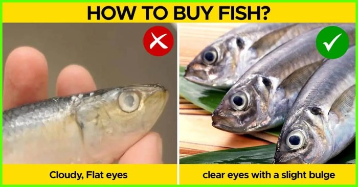 Fish market fresh london brixton libera pawel credit visit food