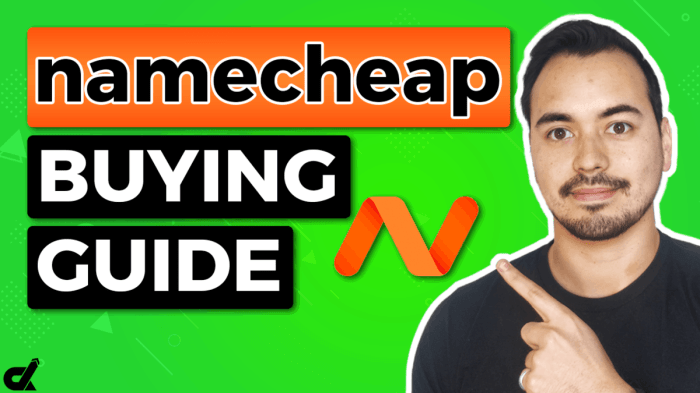 Dominio dominios baca newbie wajib jawabannya namecheap contratar domains esto