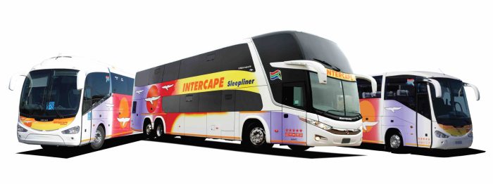 Buses