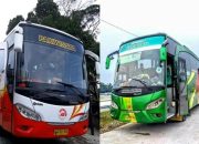 Cek Harga Tiket Bus Cirebon Palembang Terbaru dan Terlengkap!