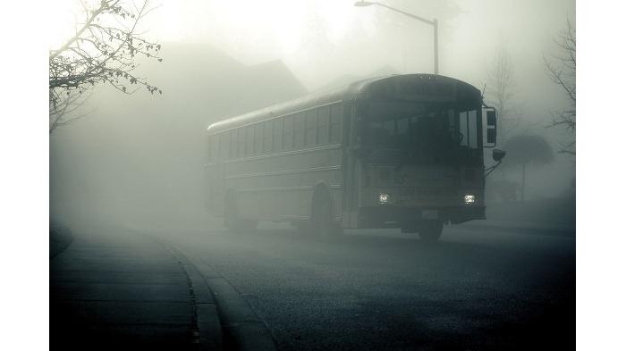 Bogor lorena jadwal bus