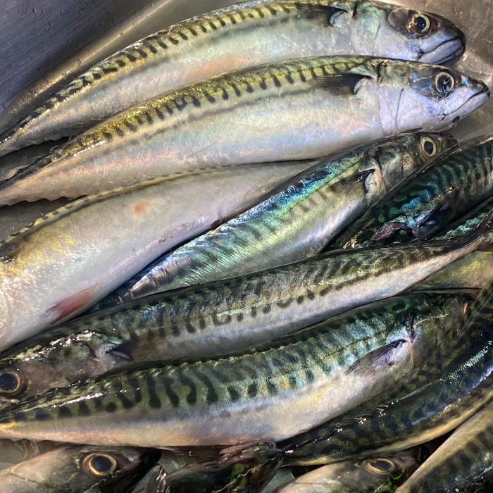 Cara berjualan ikan segar