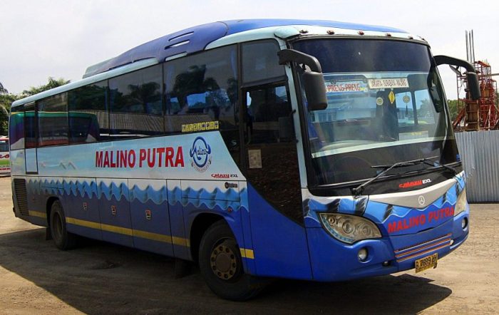 Harga tiket bus malino putra 2019