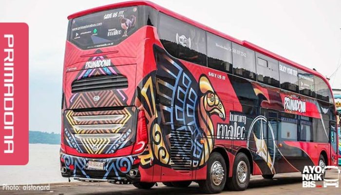 Harga Tiket Bus Primadona Makassar Toraja, Panduan Lengkap