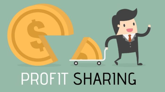 Explained profit brandongaille sharing business model