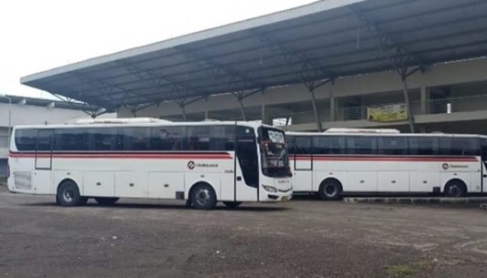 Harga Tiket Bus Primajasa Jakarta Cirebon, Bepergian Nyaman Harga Terjangkau