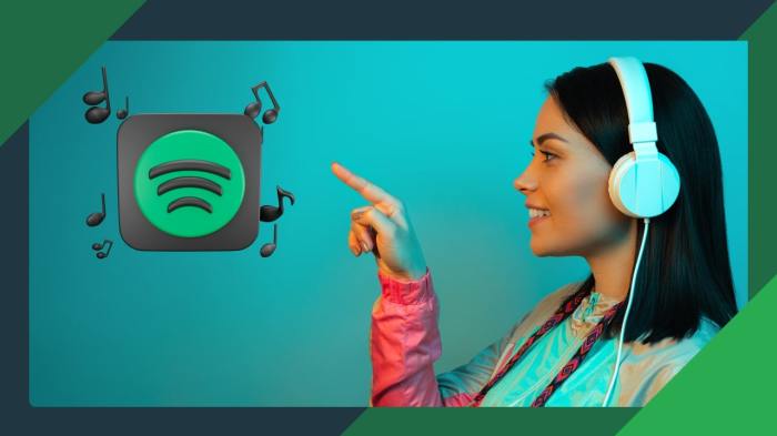 Spotify subscription