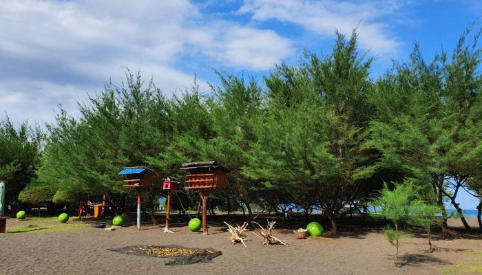 Cek Harga Tiket Masuk Pantai Cemara Tuban Terbaru 2023