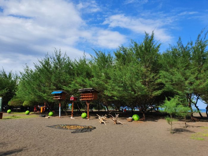 Harga tiket masuk pantai cemara tuban