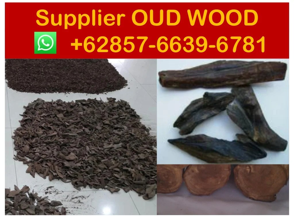 Cara menjual kayu gaharu