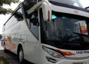 Harga Tiket Laju Prima Hari Ini, Panduan Lengkap