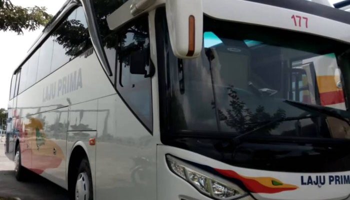 Harga Tiket Laju Prima Hari Ini, Panduan Lengkap