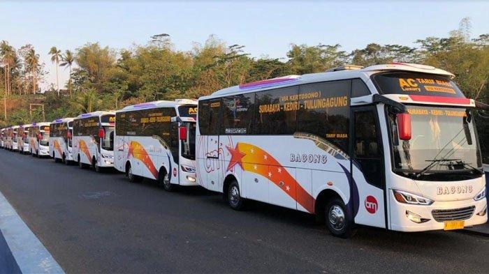 Harga tiket bus tulungagung surabaya