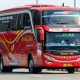 Harga tiket bus medali mas
