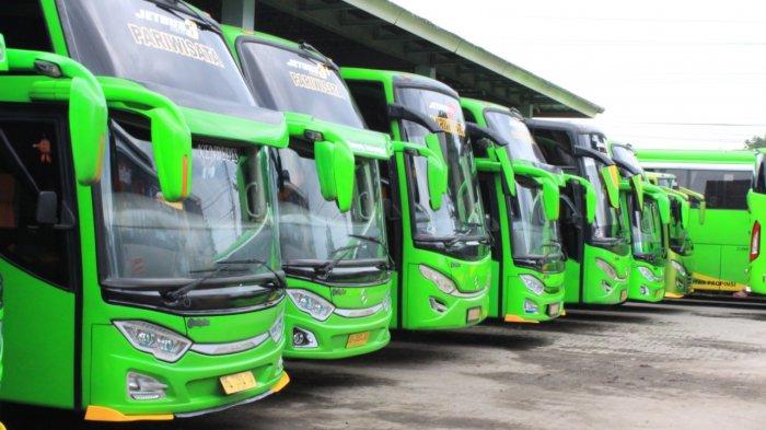 Puspa jaya lampung trayek yogyakarta akap