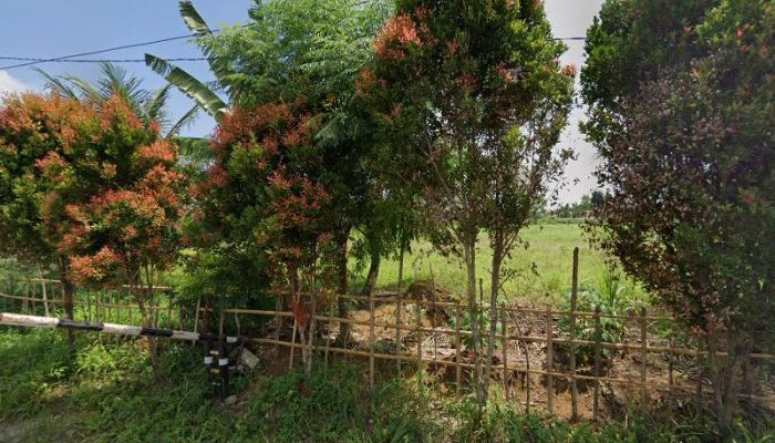 Cek Harga Tiket Kolam Renang Deli Serdang, Biar Nggak Kecewa!