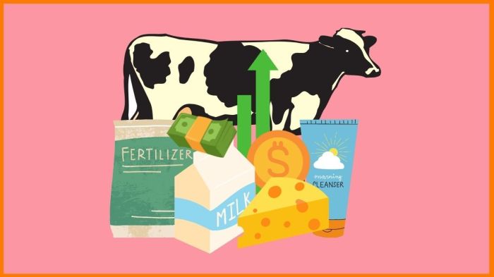 Cara bisnis sapi yang menguntungkan