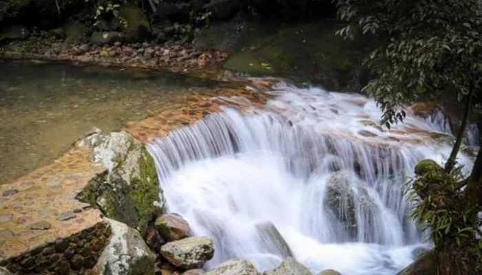 Harga Tiket Masuk Marcopolo Bogor, Panduan Lengkap