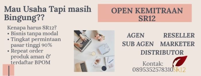 Cara Kerja Bisnis SR12, Skema Bisnis yang Menguntungkan