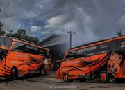Cek Harga Tiket Bus Pangkalan Bun ke Banjarmasin Terbaru
